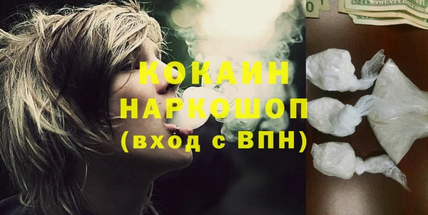 дживик Алексин