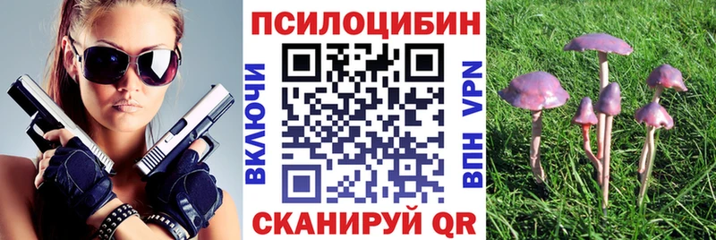 Псилоцибиновые грибы прущие грибы  Аша 